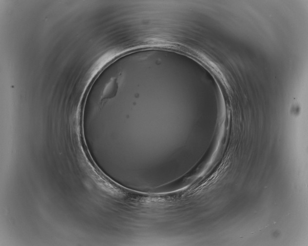 X0000096391291200801241252