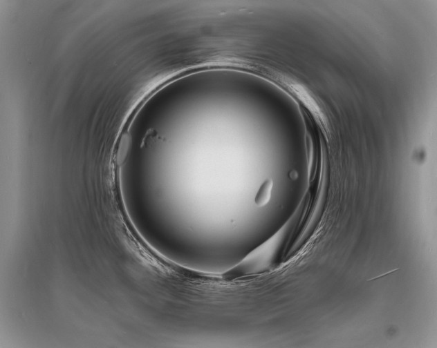 X0000096391292200801241252