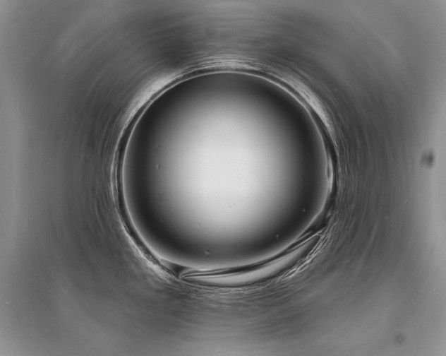 X0000096391293200801241252
