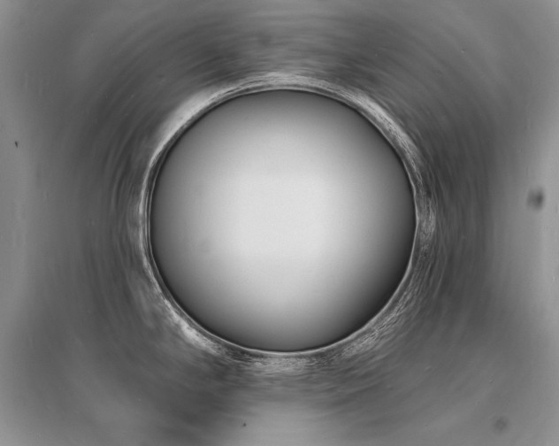 X0000096391294200801241252