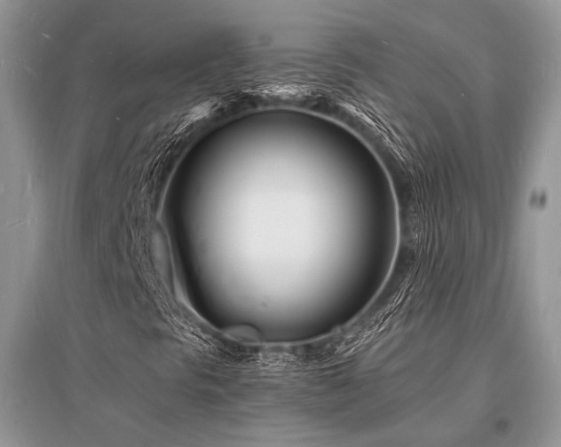 X0000096391297200801241251