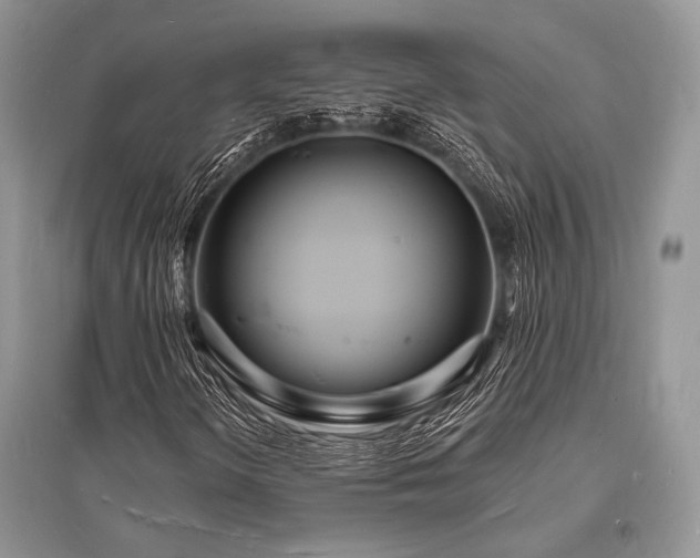 X0000096391298200801241251