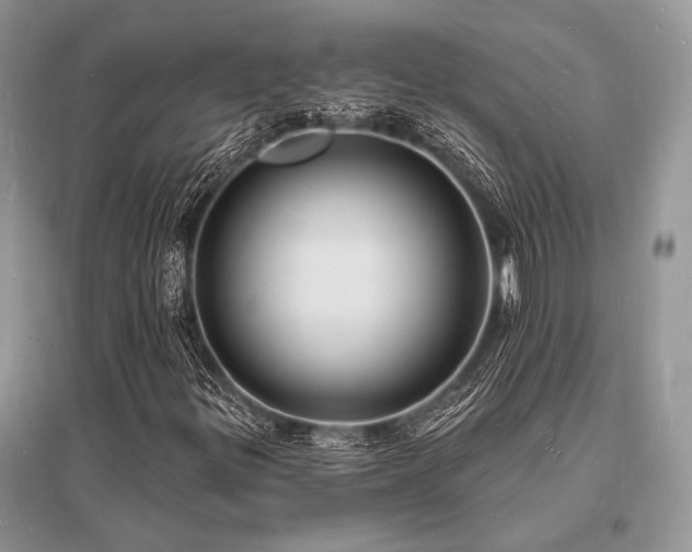 X0000096391299200801241251