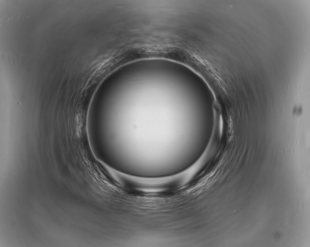 X0000096391300200801241251