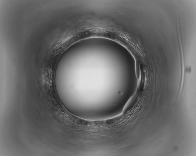X0000096391301200801241251
