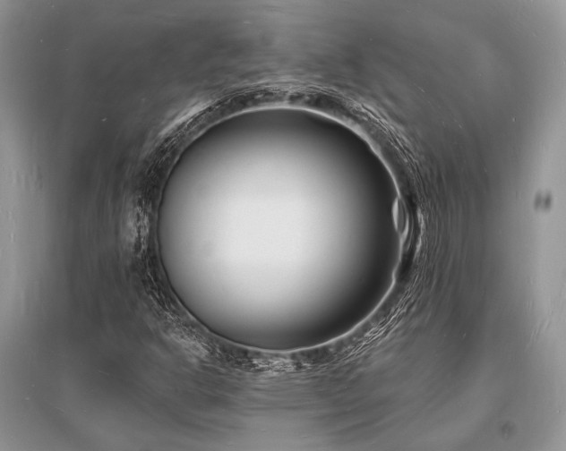 X0000096391302200801241251