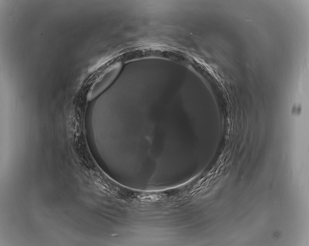 X0000096391303200801241251