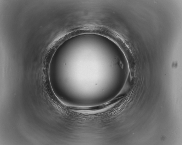 X0000096391304200801241251