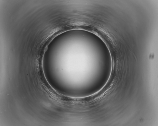 X0000096391305200801241251
