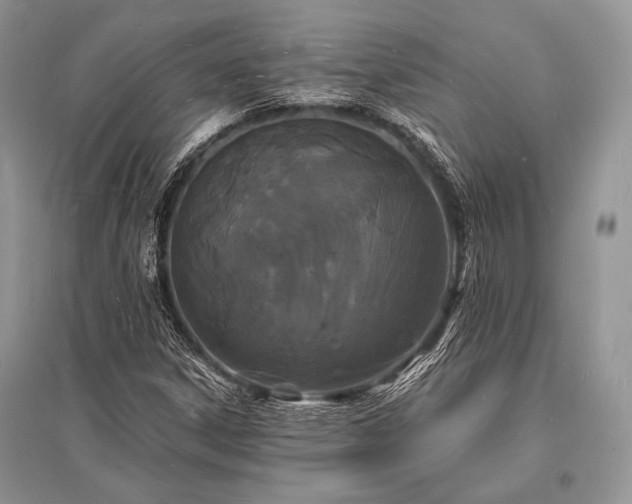 X0000096391306200801241251