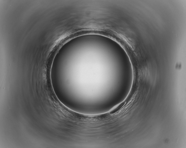 X0000096391307200801241251