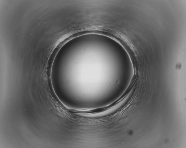 X0000096391308200801241251