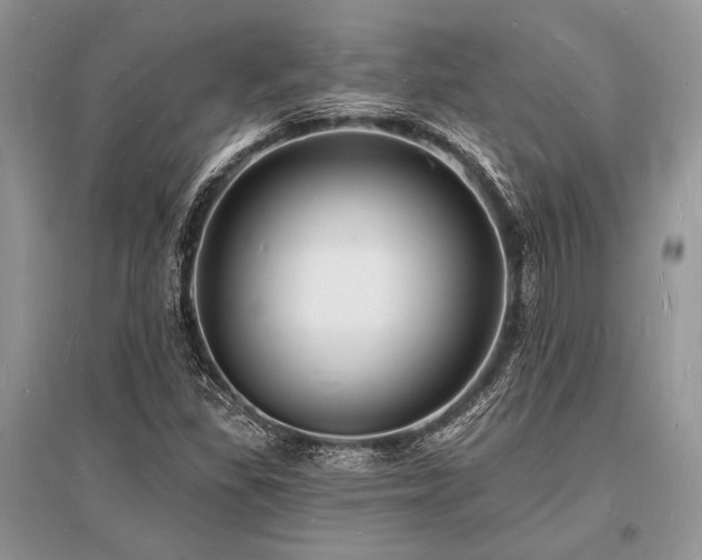 X0000096391309200801241251