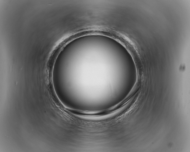 X0000096391310200801241252