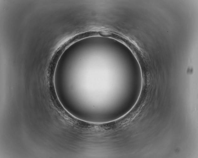 X0000096391311200801241252