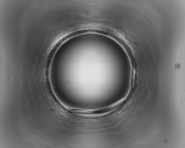 X0000096391312200801241252
