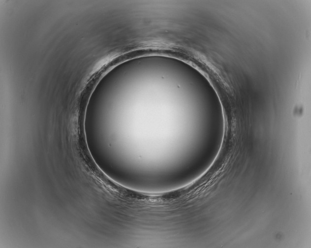 X0000096391315200801241252