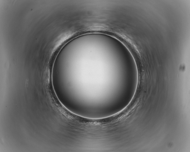X0000096391317200801241252