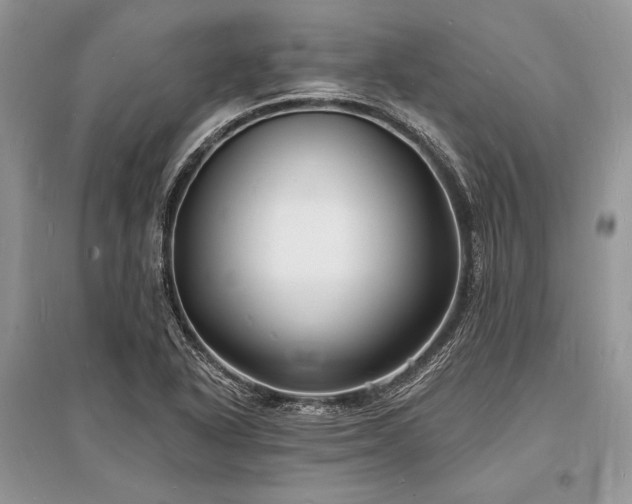 X0000096391318200801241252