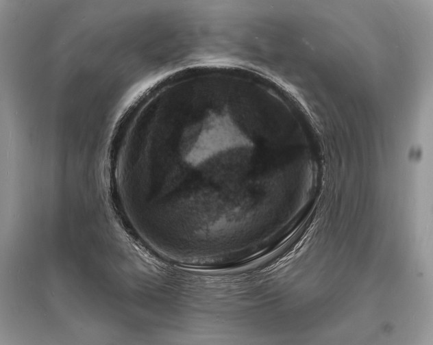 X0000096391319200801241252