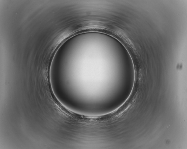 X0000096391321200801241252