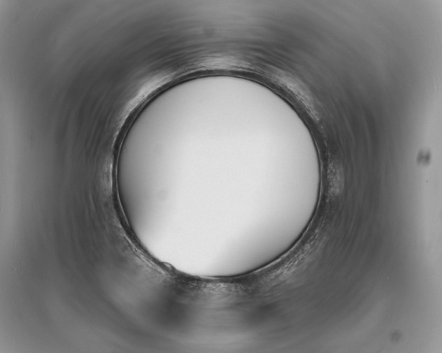 X0000096391322200801241252