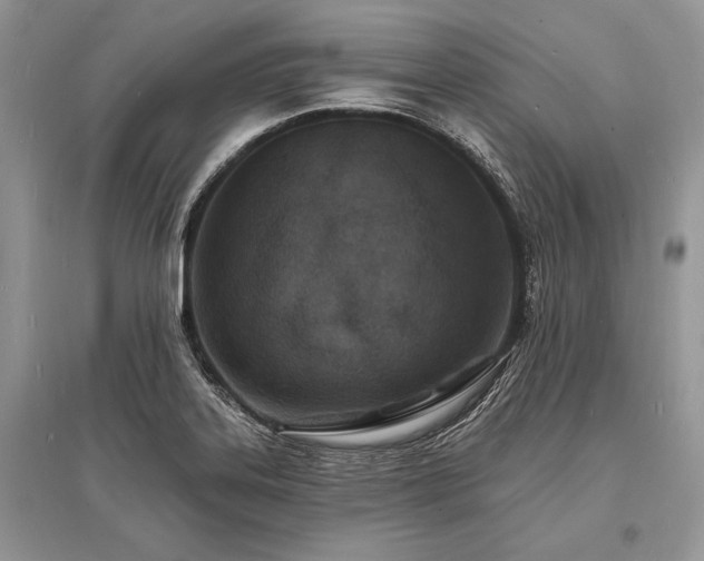 X0000096391323200801241252