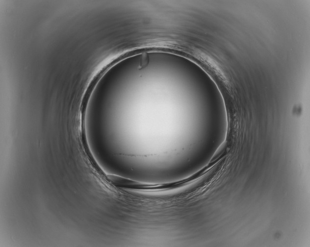 X0000096391324200801241252