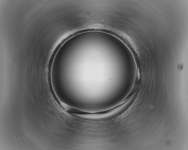 X0000096391326200801241252
