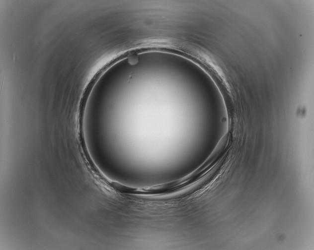X0000096391328200801241252