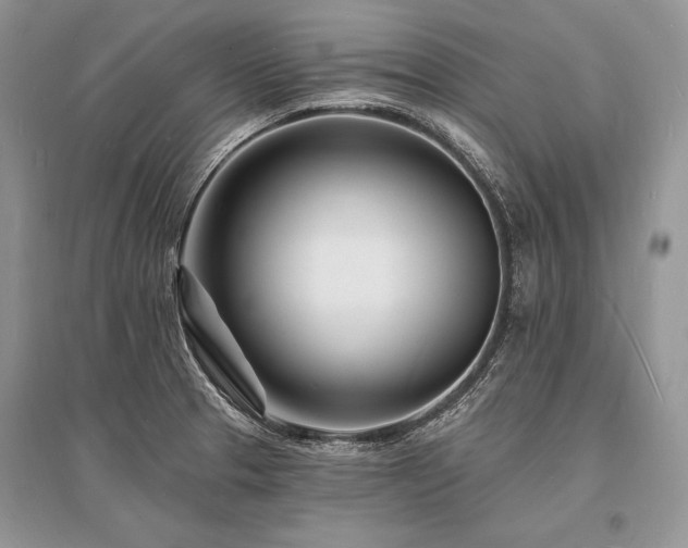 X0000096391329200801241252