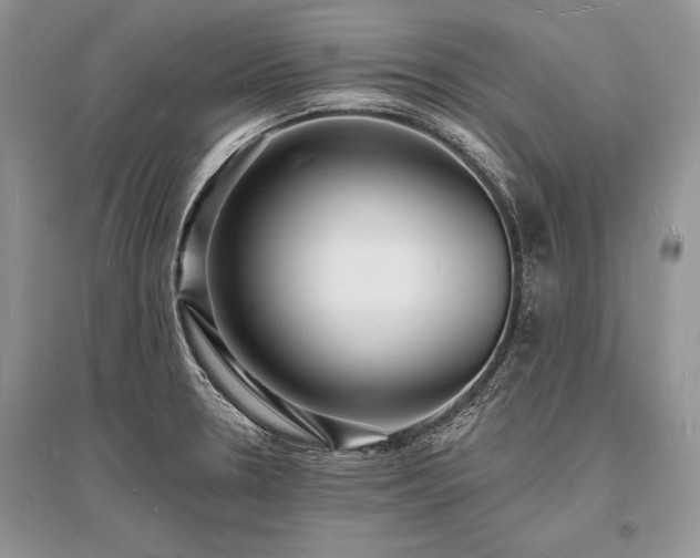 X0000096391330200801241252