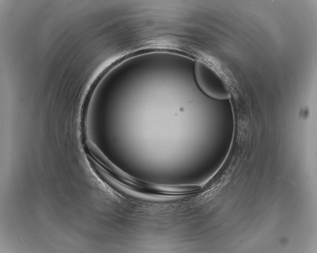 X0000096391331200801241252