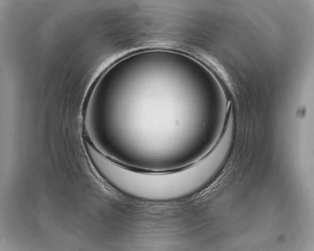 X0000096391332200801241252