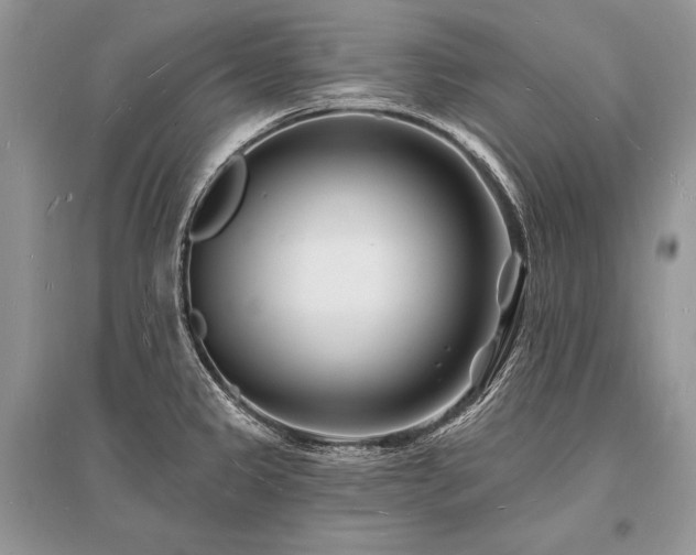 X0000096391333200801241252