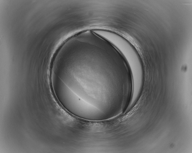 X0000096391334200801241252