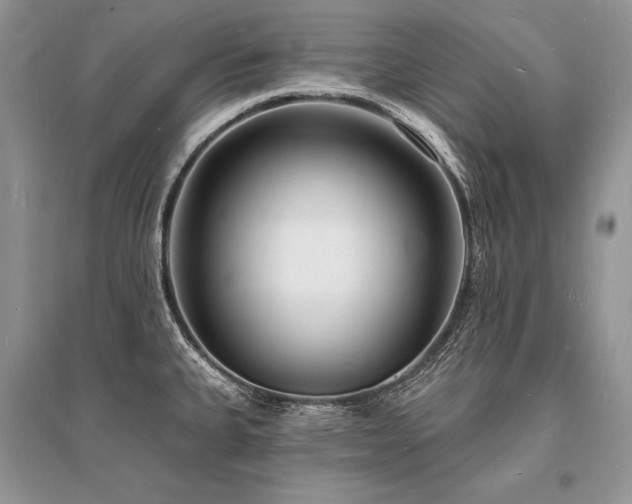 X0000096391335200801241252