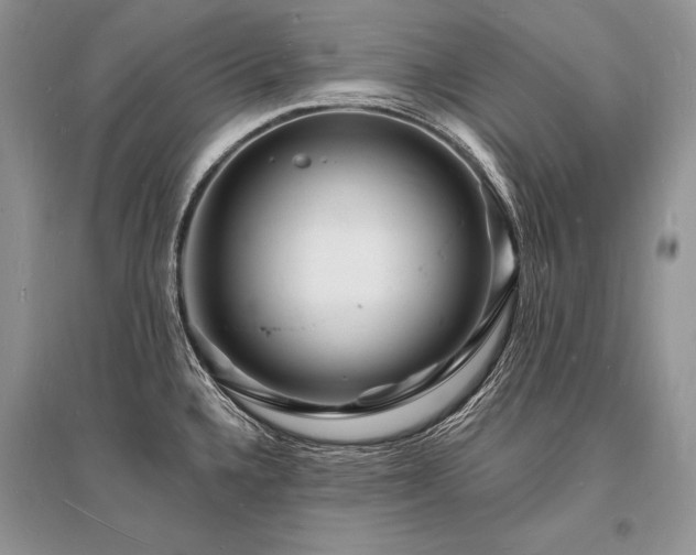 X0000096391336200801241252