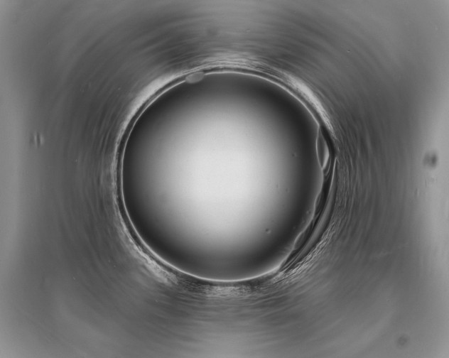 X0000096391339200801241252