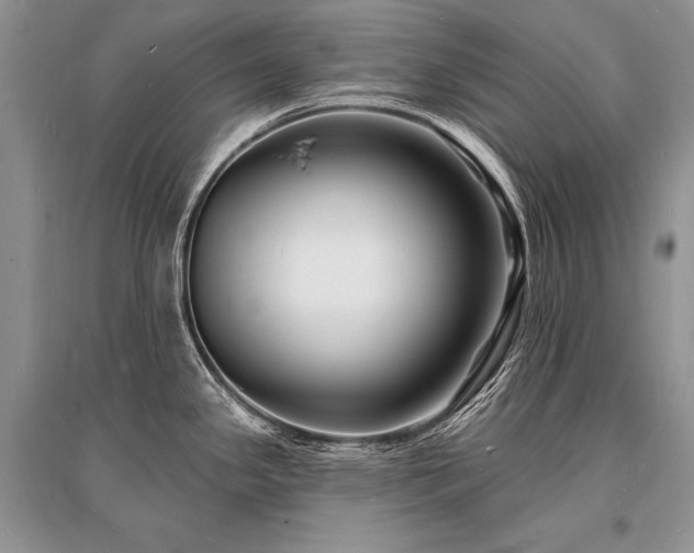 X0000096391341200801241252
