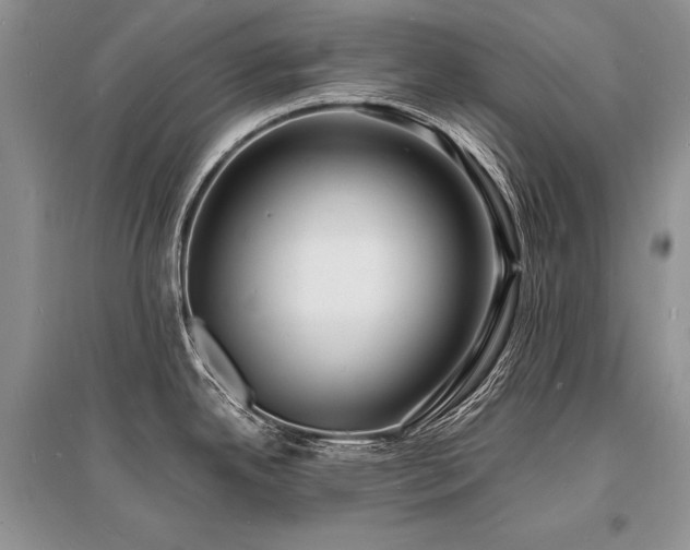 X0000096391342200801241252