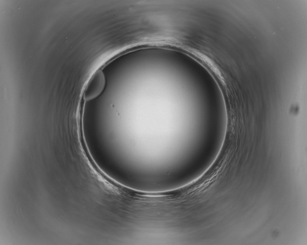 X0000096391343200801241252