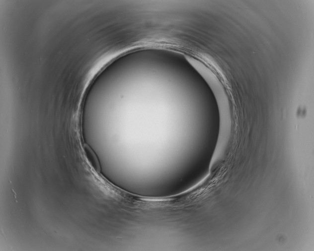 X0000096391344200801241252