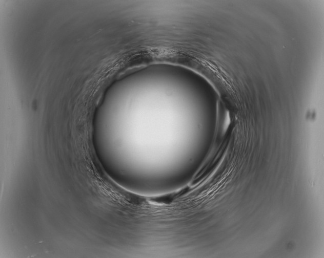 X0000096391345200801241251