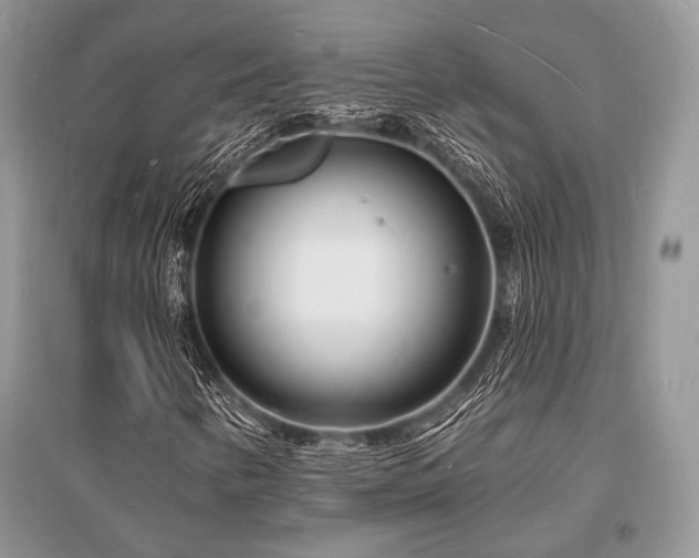 X0000096391346200801241251