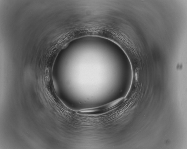 X0000096391347200801241251