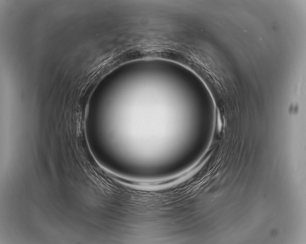 X0000096391348200801241251