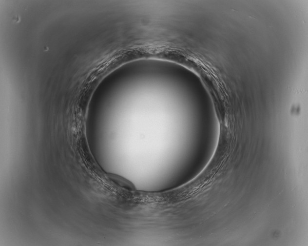 X0000096391349200801241251