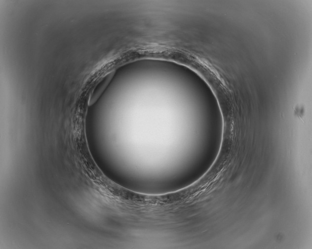 X0000096391350200801241251