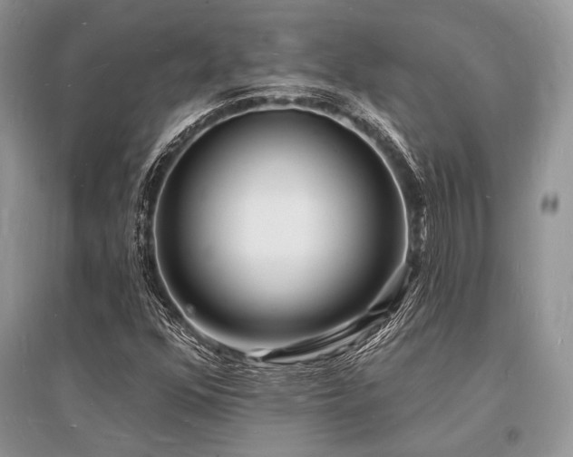 X0000096391352200801241251